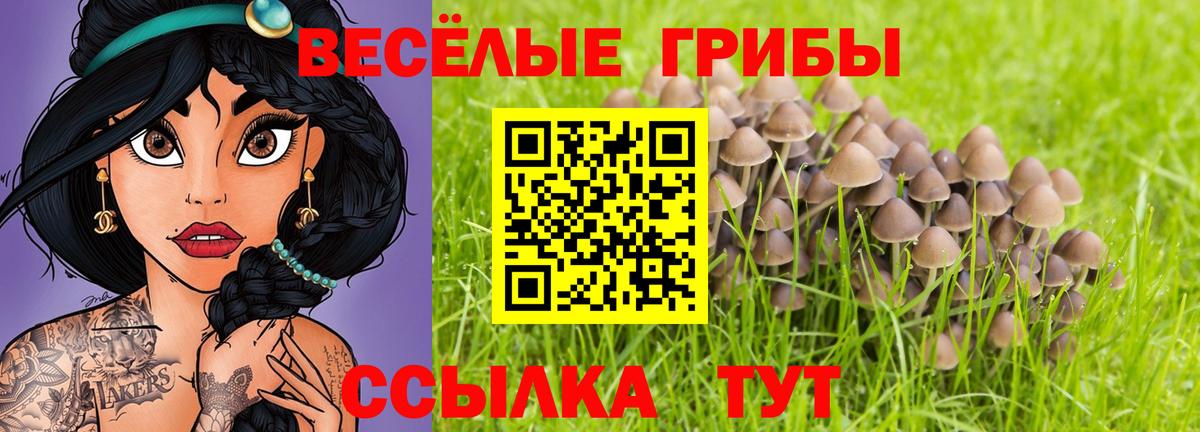 дарнет шоп  Псилоцибиновые грибы GOLDEN TEACHER  Вход с VPN  Электросталь 